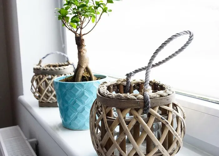 Pocztowka Appartamento Ustka